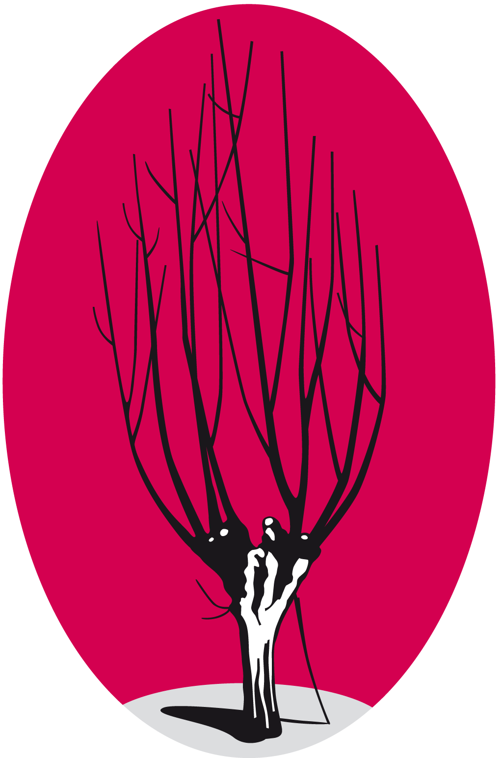 pega04